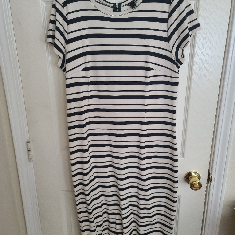 Ann Taylor Dress